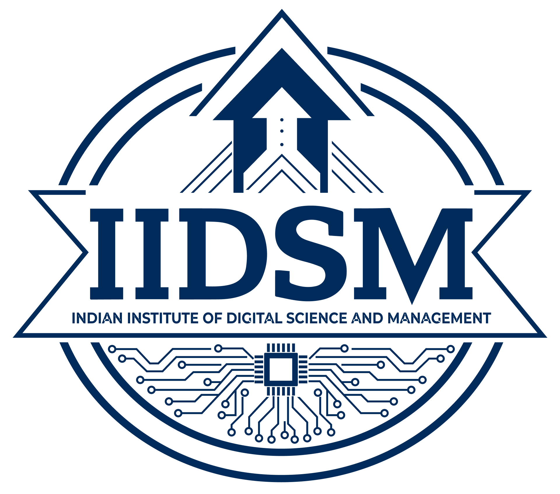 IIDSM Logo